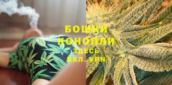 ешки Белокуриха