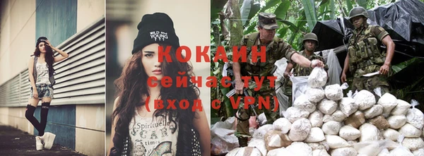 ешки Белокуриха