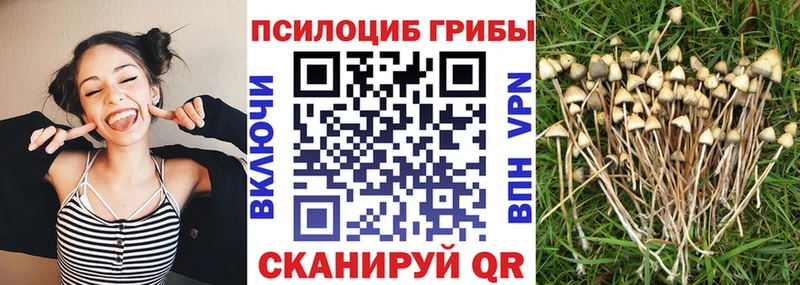 Псилоцибиновые грибы ЛСД  Зверево 